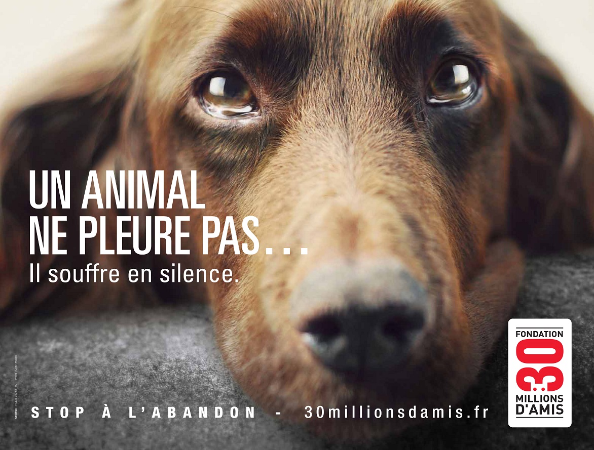 reklamni kampan proti opusteni zvirat Zvire neplace trapi v tichosti foto 30 Million d Amis